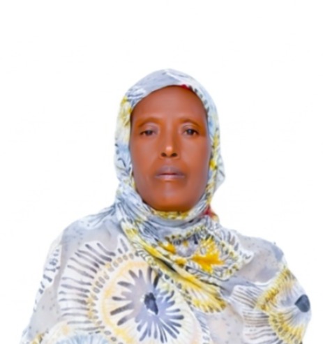 DESTA LEMA AYANU